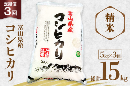 米 令和7年産 コシヒカリ 精米 5kg 3回 定期便 [サンライス青木 富山県 朝日町 34310564]