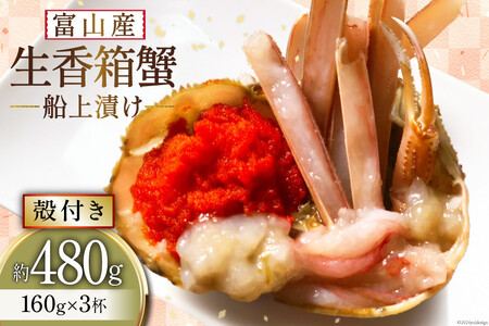 生 香箱蟹の船上漬け 平均160g 3杯 [愛場商店 富山県 朝日町 34310362]