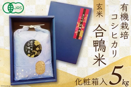  ߘa7N  RVqJ  5kg JASFL@͔| [TAGOSAKU xR  34310215]