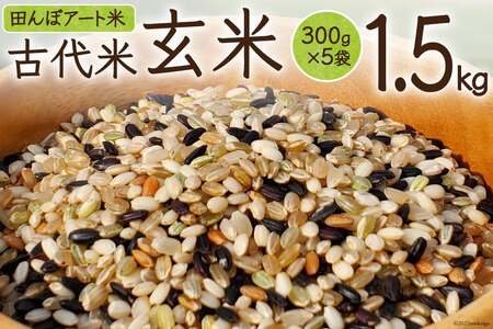 【期間限定発送】 米 田んぼアート 玄米 300g×5袋 [チュリストやまざき 富山県 朝日町 34310430] お米 古代米 コシヒカリ こしひかり 農家 直送