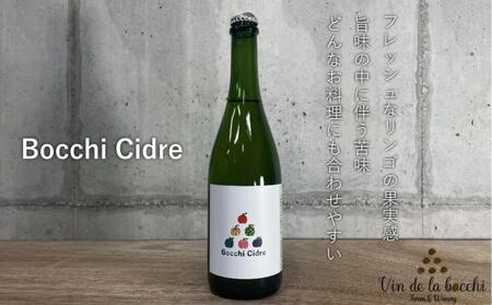 Bocchi Cidre(ボッチ・シードル) 750ml×1本