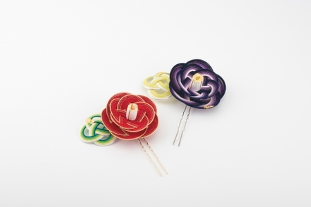 �y���ꐅ���z�i�p�[�v���j�ւ̐����̂��񂴂�