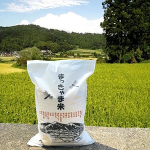 [特別栽培米]石川県産 こしひかり 棚田米[白米] 5kg 令和7年度産