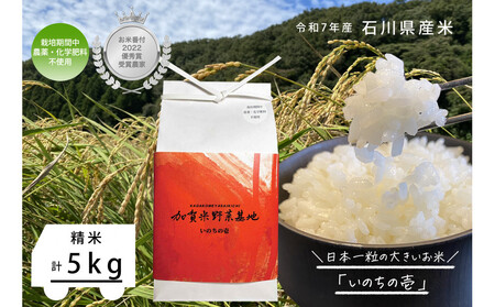[お米番付優秀賞受賞農家]日本一粒の大きいお米『いのちの壱』白米5kg