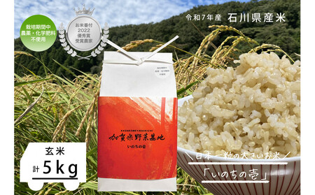 [お米番付優秀賞受賞農家]日本一粒の大きいお米『いのちの壱』玄米5kg