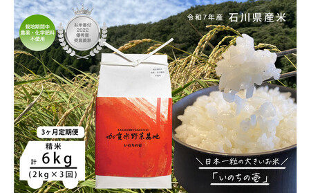[3ヶ月定期便][お米番付優秀賞受賞農家]日本一粒の大きいお米『いのちの壱』白米2kg×3回