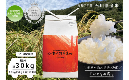 y3ցzyĔԕtDG܎ܔ_Ɓz{ꗱ̑傫āŵ̈x10kg×3