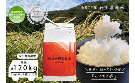 y12ցzyĔԕtDG܎ܔ_Ɓz{ꗱ̑傫āŵ̈x10kg×12