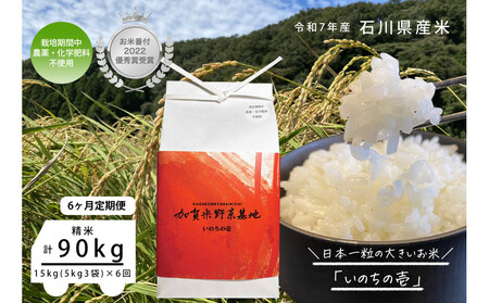 y6ցzyĔԕtDG܎ܔ_Ɓz{ꗱ̑傫āŵ̈x15kg×6