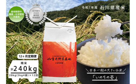 y12ցzyĔԕtDG܎ܔ_Ɓz{ꗱ̑傫āŵ̈x20kg×12