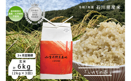 [3ヶ月定期便][お米番付優秀賞受賞農家]日本一粒の大きいお米『いのちの壱』玄米2kg×3回