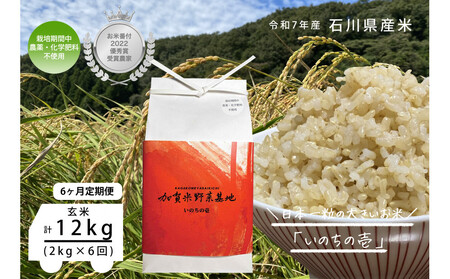 y6ցzyĔԕtDG܎ܔ_Ɓz{ꗱ̑傫āŵ̈x2kg×6