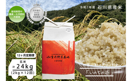 y12ցzyĔԕtDG܎ܔ_Ɓz{ꗱ̑傫āŵ̈x2kg×12