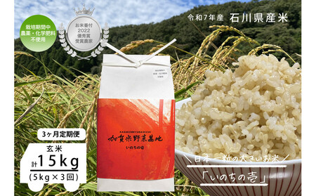 y3ցzyĔԕtDG܎ܔ_Ɓz{ꗱ̑傫āŵ̈x5kg×3