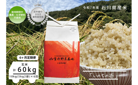 y6ցzyĔԕtDG܎ܔ_Ɓz{ꗱ̑傫āŵ̈x10kg×6