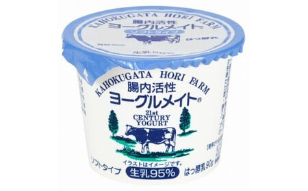 [ホリ乳業]腸内活性 ヨーグルメイト ソフトタイプ 20個入