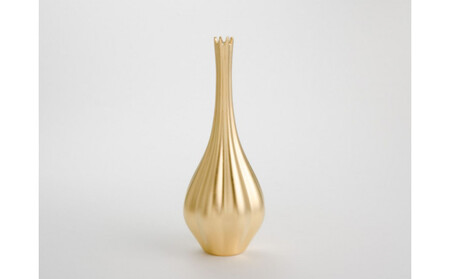 箔磁 耀昴 -はくじ すばる- (永遠色)