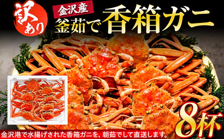 [訳あり] 金沢港より直送! ボイル 香箱ガニ 8杯セット 釜茹で 冷蔵 2025年発送