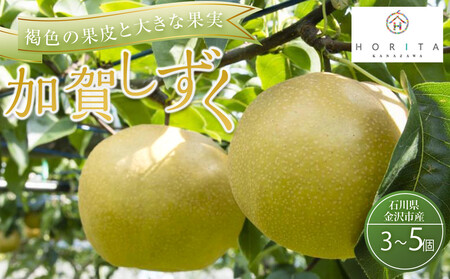 [2026年8月下旬以降発送][先行予約]加賀しずく梨 3〜5個