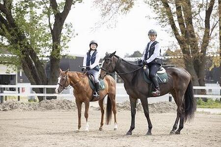 乗馬スクール体験ペアチケット(30分) 石川 金沢 加賀百万石 加賀 百万石 北陸 北陸復興 北陸支援