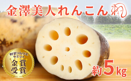 レンコン 5kg 金澤美人れんこん 蓮根 野菜 根菜