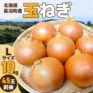 �k�C���������Y�ʂ˂�L�T�C�Y 10kg�y1693736�z