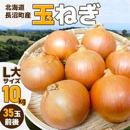 北海道長沼町産玉ねぎL大サイズ10kg_野菜 玉ねぎ たまねぎ タマネギ_