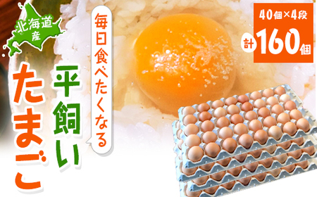 ykCYzHׂȂ镽܂160_Ei   ܂ ^}S ʎq_yzsnFzy1215863z