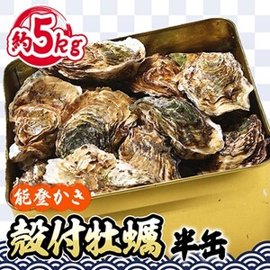 能登牡蠣 殻付牡蠣半缶/約5kg(約40～50個)専用ナイフ、片手用軍手付　※加熱用【配送不可地域：離島・北海道・沖縄県・東北・中国・四国・九州】【1033639】