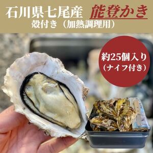 石川県七尾産 能登かき 殻付き (約25個)[配送不可地域:離島・北海道・沖縄県・東北・中国・四国・九州]