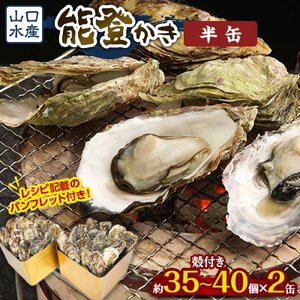 山口水産の能登かき 半缶(約35〜40個入り)×2個[配送不可地域:離島・北海道・沖縄県・東北・四国・九州]