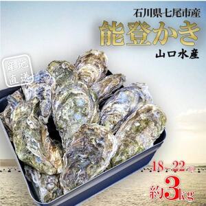 山口水産の能登かき 殻付き 3kg(18〜22個入)[配送不可地域:離島・北海道・沖縄県・東北・四国・九州]