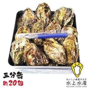 能登のかき 三分缶ガンガン焼き(約20個・ナイフ付)[配送不可地域:離島・北海道・沖縄県]