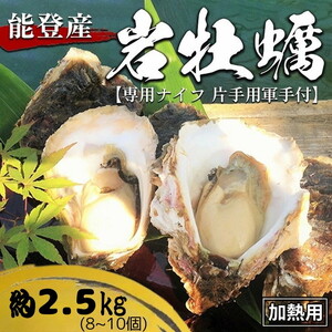 能登産 岩牡蠣(2.5kgセット/8〜10個入)専用ナイフ 片手用軍手付 加熱用 冷蔵配送 ※2025年6月中旬〜2025年8月下旬頃に順次発送予定 ※離島への配送不可