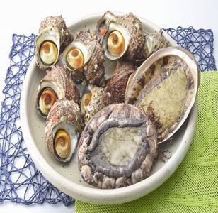 魚介類 /能登 朝どれアワビ・サザエセット(大アワビ2ヶ/サザエ10ヶ) 刺身 つぼ焼き 貝 ※季節商品 ※2025年6月上旬〜8月下旬頃に順次発送予定