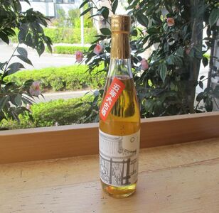 能登の地酒 五年大古酒 19度500ml×1本|プレゼント ギフト お祝い 酒 ※2025年11月より順次発送予定