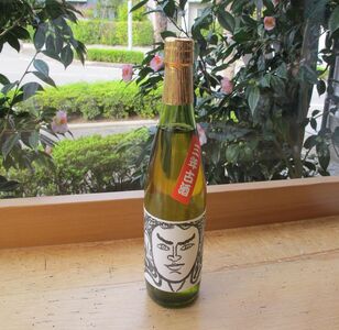能登の地酒 三年古酒 500ml×1本|お酒 酒 古酒 銘酒 地酒 熟成 特産品 特産 名産 お取り寄せ ご当地 ギフト お祝い 誕生日 石川県 七尾市