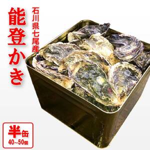 [能登半島地震復興支援]魚介類 牡蠣 / 能登かき 殻付牡蠣 半缶/約5kg(約40〜50個) 専用ナイフ 片手用軍手付 /世界農業遺産「能登の里山里海」