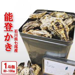 [能登半島地震復興支援]魚介類 牡蠣/能登かき 殻付牡蠣 一斗缶/約10kg(約80〜100個) 専用ナイフ 片手用軍手付 /世界農業遺産「能登の里山里海」 石川県 七尾市 ※要加熱 ※2026年1月下旬〜5月下旬頃に順次発送予定 ※離島への配送不可