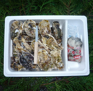 魚介類 牡蠣 能登かきむき身と殻付きセット・加熱用[むき身450g・殻付20〜25個]|牡蠣 むき身 かき カキ 加熱用 カキフライ 牡蠣飯 海鮮 魚介 国産 石川県 七尾市 能登 復興