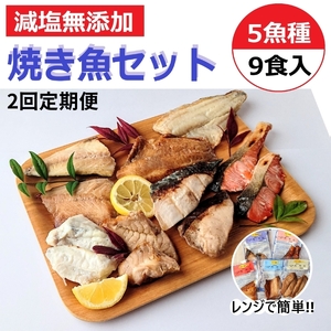 [定期便]レンジで簡単 焼き魚セット 全2回|焼魚 海鮮 海鮮 海鮮 鮭 さけ サーモン 鮭 サーモン 石川県 七尾市 能登
