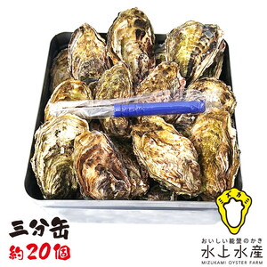 [能登半島地震復興支援][発送時期が選べる]水上水産の能登のかき 三分缶ガンガン焼き(約20個・ナイフ付) ※離島への配送不可 石川県 七尾市 能登 ※2026年1月上旬〜4月下旬頃に順次発送予定