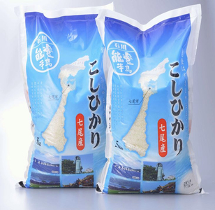 ＼1ヵ月以内発送/令和6年産米 七尾産こしひかり10kg(5kg×2) |米 R6年産米 銘柄米 精米 白米 コシヒカリ こしひかり 能登