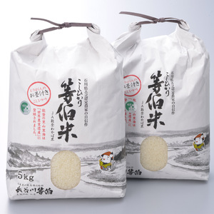 令和7年産 等伯米こしひかり10kg(5kg×2袋) | 世界農業遺産に認定された『能登の里山里海』で育まれたお米 石川県 七尾市 能登 ※2025年12月中旬頃より順次発送予定