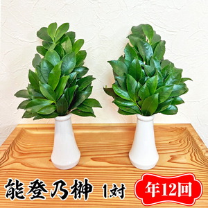 [定期便]能登乃榊 1対 年12回(1年間定期配送) ※着日指定不可