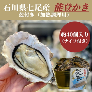 石川県七尾産 能登かき 殻付き 半缶（約40個） ※北海道・沖縄・離島への配送不可 ※2025年12月上旬～2026年5月下旬頃に順次発送予定
