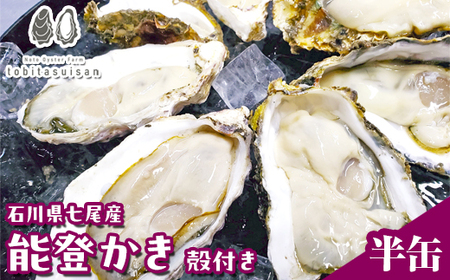 飛田水産 石川県七尾産 能登かき 殻付き半缶|牡蠣 専用ナイフ 牡蠣 かき カキ 能登の里山里海 石川県七尾市 能登半島 ※要加熱 ※2026年1月上旬〜5月下旬頃に順次発送予定 ※北海道・沖縄・離島への発送不可