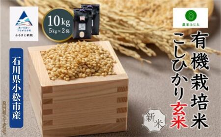 RVqJ  10kg L@͔|