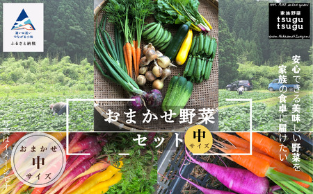 [化学肥料不使用]おまかせ野菜セット(中) 008046