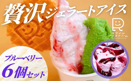 贅沢ジェラートアイス ブルーベリー 6個セット アイスアイスアイスアイスアイス